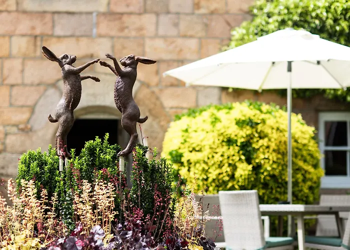 Hotell Greenhills Country Saint Peter